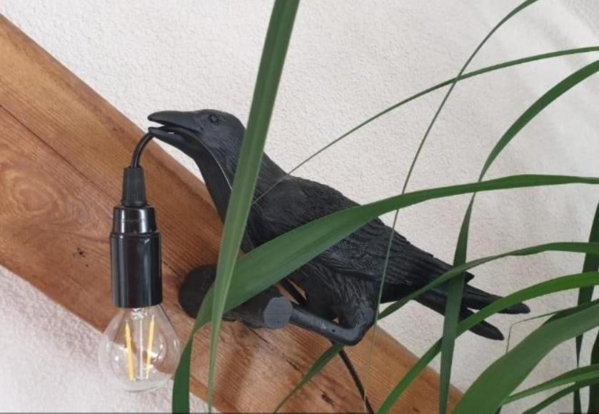 Seensucht & Urlaubstraeume, Ferienwohnung "Strand-Romantik" ゼンフテンベルク エクステリア 写真